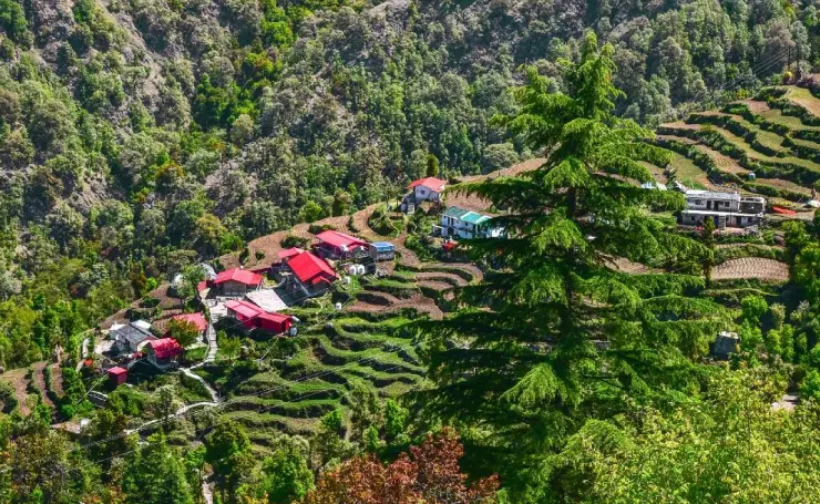 dhanaulti-nature