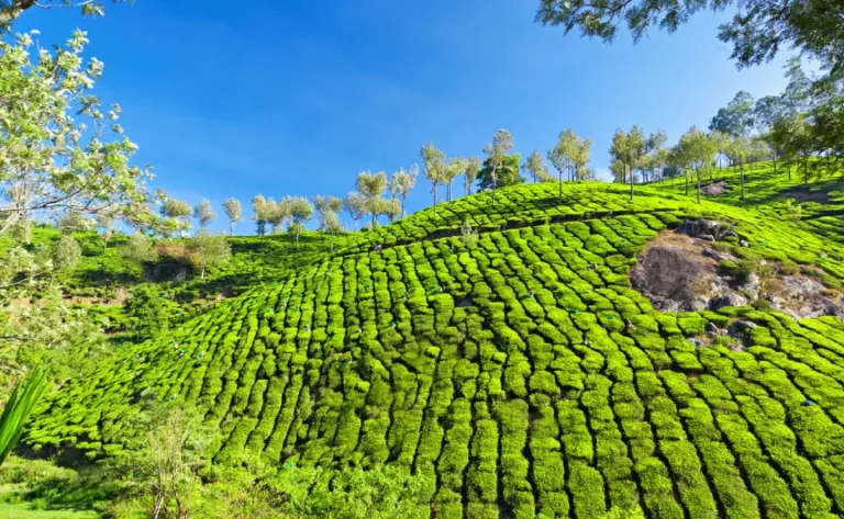 enchanting-kerala1
