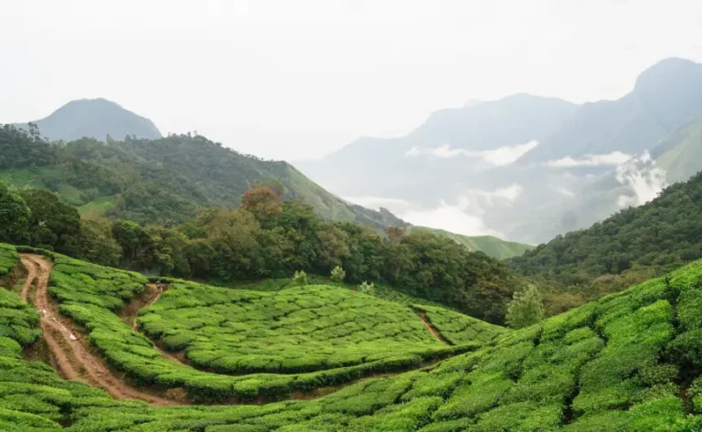 enchanting-kerala2 (1)