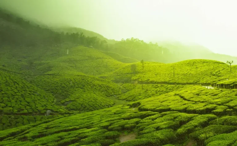 escape-to-kerala1