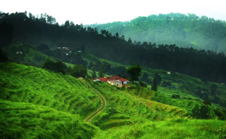 ranikhet-beauty